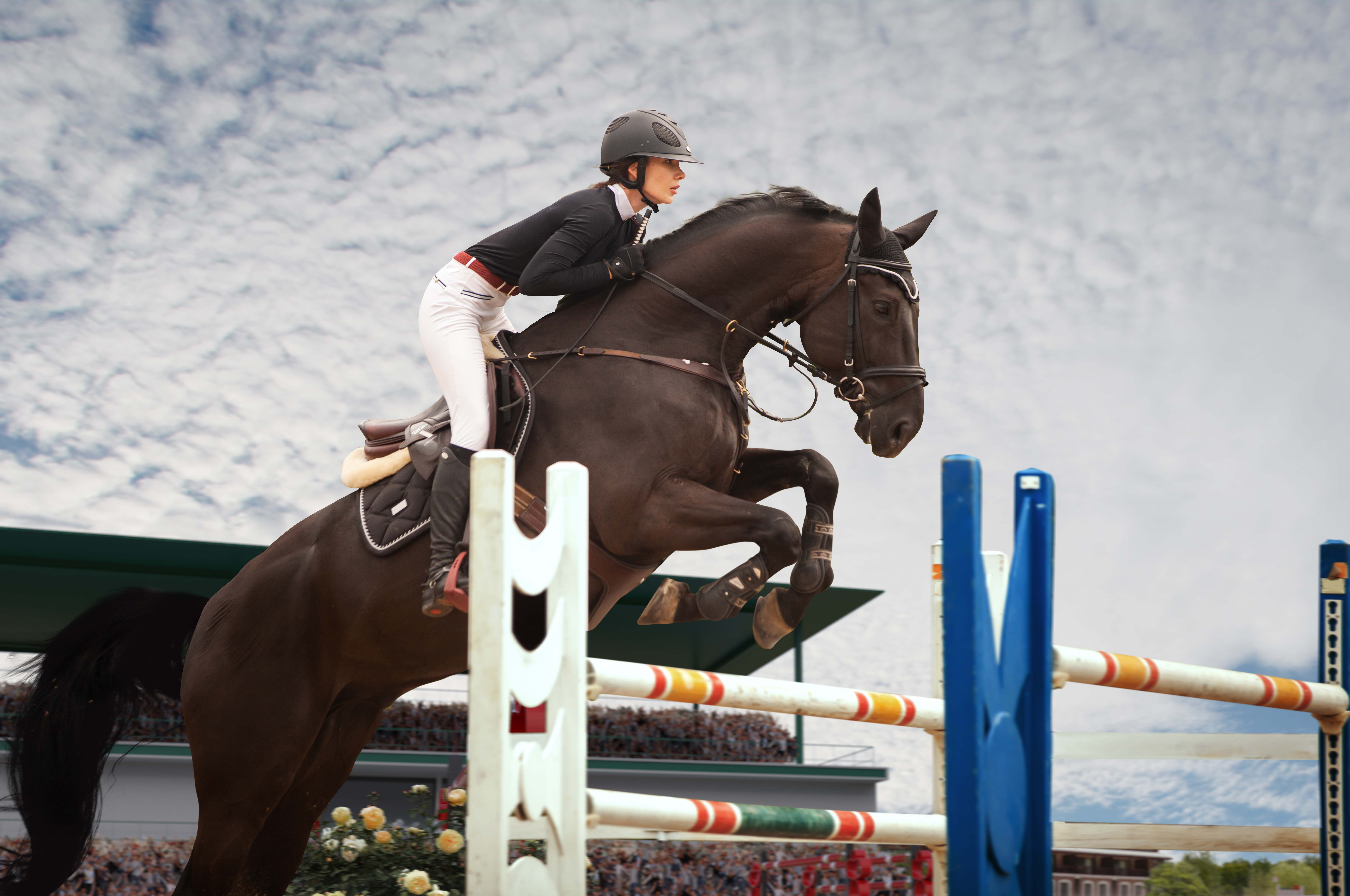 Horse Racing Grand National 2025: Complete Betting Guide